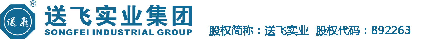 送飛實業(yè)集團(tuán)